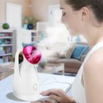 Face steamer