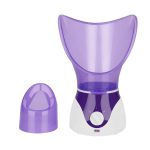 Ionic Face Steamer