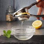 Manual Stainless Steel  Juicer
