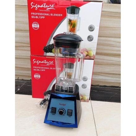 Professional blenders